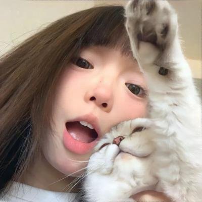 玫瑰信贷
