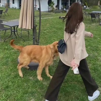 秋天的马拉松